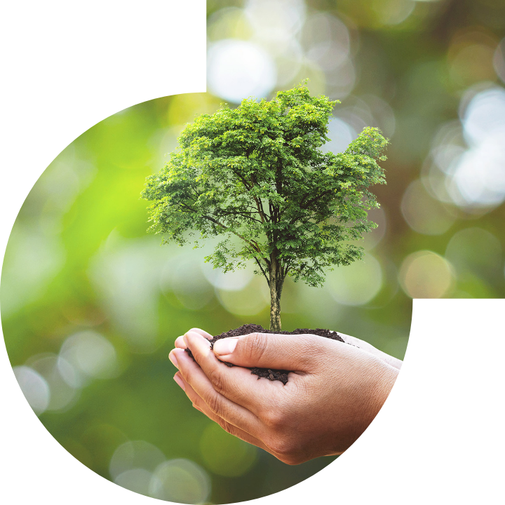 關懷人類、文化、環境與社會